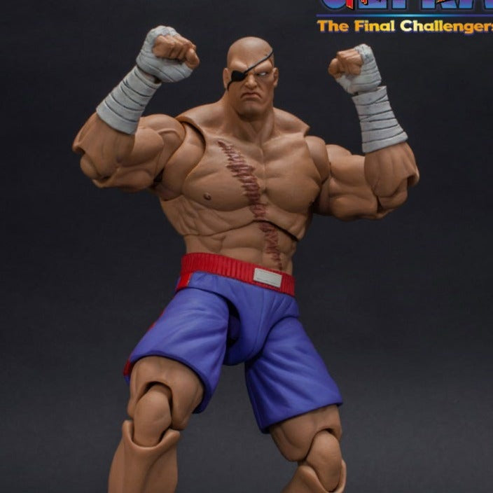 Sagat SOTA Toys Capcom Street Fighter Round 1 Nintendo Game Toy Figures  Action Figure 2004 -  Canada