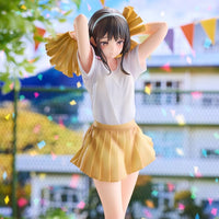 Cheerleader Misaki Deluxe Edition