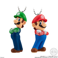 Super Mario Bros. Mascot Charm Collection (Each)