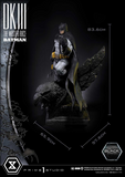 Batman Dark Knight III The Master Race (Comics) Batman Black Version