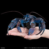 The Diversity of Life on Earth Premium COCONUT CRAB