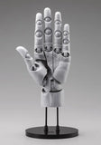 ARTIST SUPPORT ITEM HAND MODEL MEN’S/L GRAY