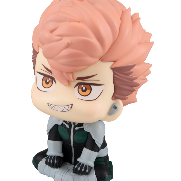 [Backorder] Lookup Iharu Fruhashi
