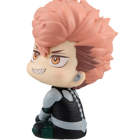 [Backorder] Lookup Iharu Fruhashi
