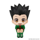 Lookup HUNTER×HUNTER Gon Freecss & Killua Zoldyck set (with gift)