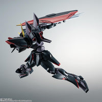 GAT-X207 Blitz Gundam ver. A.N.I.M.E. "Mobile Suit Gundam Seed" The Robot Spirits