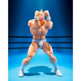 Kinnikuman Perfcat Origin Arc "KINNIKUMAN PERFECT ORIGIN ARC" S.H.Figuarts