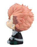 [Backorder] Lookup Iharu Fruhashi