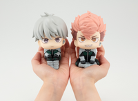 [Backorder] Lookup Iharu Fruhashi