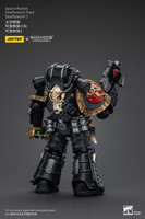 WARHAMMER Space Wolves Deathsworn Pack Deathsworn 2