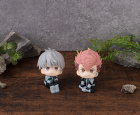 [Backorder] Lookup Iharu Fruhashi