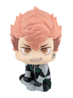 [Backorder] Lookup Iharu Fruhashi