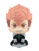 [Backorder] Lookup Iharu Fruhashi