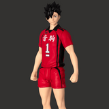 CK-H04 COLLEKAZARO Tetsuro Kuroo