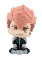 [Backorder] Lookup Iharu Fruhashi