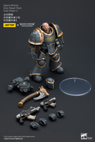 WARHAMMER Space Wolves Grey Slayer Pack Grey Slayer 3