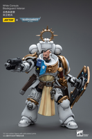 [Backorder] WARHAMMER White Consuls Bladeguard Veteran