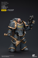 WARHAMMER Space Wolves Grey Slayer Pack Grey Slayer 3