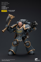 WARHAMMER Space Wolves Grey Slayer Pack Grey Slayer 3