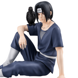 G.E.M. Series Palm Size Itachi
