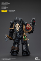 WARHAMMER Space Wolves Deathsworn Pack Deathsworn 3