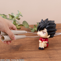 [Backorder] Lookup Tetsuro Kuroo Uniform ver.