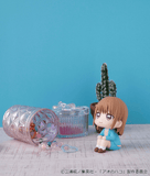 Lookup Blue Box Chinatsu Kano【with gift】