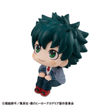 [Backorder] Lookup Izuku Midoriya