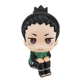 [Backorder] Lookup Shikamaru Nara