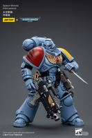 WARHAMMER Space Wolves Intercessors (Reissue)