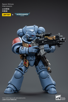 WARHAMMER Space Wolves Intercessors (Reissue)