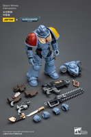 WARHAMMER Space Wolves Intercessors (Reissue)