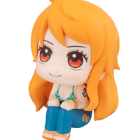 [Backorder] Lookup Nami