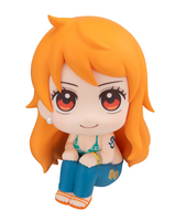 [Backorder] Lookup Nami