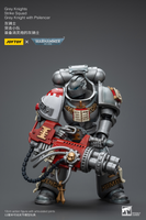 WARHAMMER Grey Knights Strike Squad Grey Knight with Psilencer