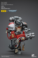 WARHAMMER Grey Knights Strike Squad Grey Knight with Psilencer
