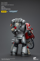 WARHAMMER Grey Knights Strike Squad Grey Knight with Psilencer