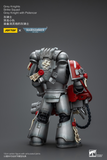 WARHAMMER Grey Knights Strike Squad Grey Knight with Psilencer
