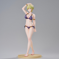 Izumo Tenka Swimsuit Ver.