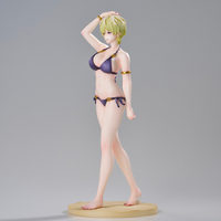 Izumo Tenka Swimsuit Ver.