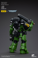 WARHAMMER Salamanders Intercessors Brother Haecule