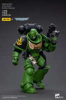 WARHAMMER Salamanders Intercessors Brother Haecule