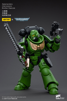 WARHAMMER Salamanders Intercessors Brother Haecule