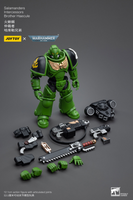 WARHAMMER Salamanders Intercessors Brother Haecule