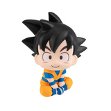 Lookup Son Goku(mini) & Vegeta(mini) (with gift)