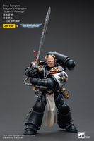 WARHAMMER 40K Black Templars Emperor's Champion Bayard's Revenge