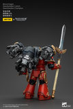 WARHAMMER Blood Angels Dawnbreaker Cohort Dawnbreaker Champion