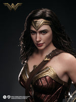 INART Batman v Superman Dawn of Justice Wonder Woman 1/6 Scale Figure