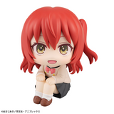 [Backorder] Lookup Ikuyo Kita