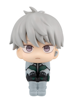 [Backorder] Lookup Reno Ichikawa
